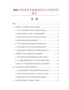 2026及未来5年滚束绒项目可行性研究报告