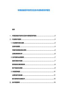 車載語音助手自然交互技術成熟度測評報告