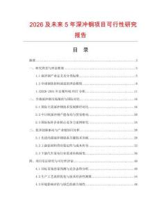 2026及未来5年深冲钢项目可行性研究报告