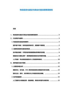 物流信息化建設與商業價值深度解讀報告