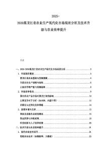 2025-2030黑龍江省農業生產現代化市場現狀分析及技術升級與農業效率提升