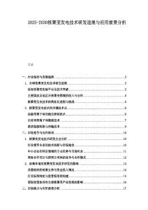 2025-2030核聚變發電技術研發進展與應用前景分析