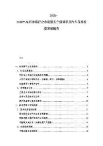 2025-2030汽車后市場行業市場服務升級調研及汽車保養投資發展報告