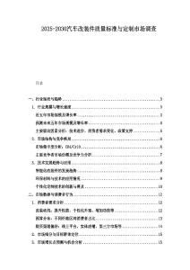 2025-2030汽车改装件质量标准与定制市场调查