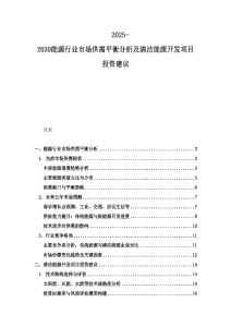 2025-2030能源行業(yè)市場供需平衡分析及清潔能源開發(fā)項目投資建議