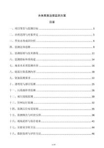 水体黑臭治理监测方案