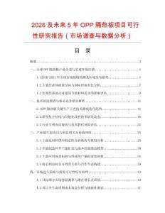 2026及未来5年OPP隔热板项目可行性研究报告（市场调查与数据分析）