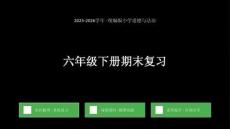 期末復(fù)習(xí)課件-2025-2026學(xué)年統(tǒng)編版小學(xué)道德與法治六年級(jí)下冊(cè)