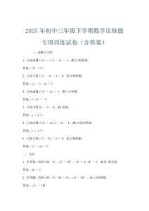 2025年初中三年级下学期数学压轴题专项训练试卷(含答案)