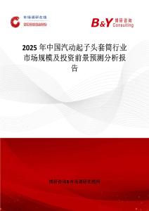 2025年中國汽動起子頭套筒行業市場規模及投資前景預測分析報告