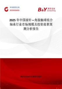 2025年中國滾針—角接觸球組合軸承行業市場規模及投資前景預測分析報告