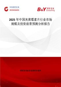 2025年中國灰黃霉素片行業市場規模及投資前景預測分析報告