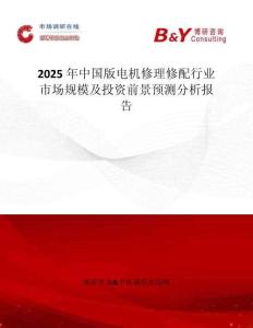2025年中國版電機修理修配行業市場規模及投資前景預測分析報告