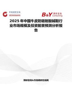 2025年中國(guó)牛皮防砸耐酸堿鞋行業(yè)市場(chǎng)規(guī)模及投資前景預(yù)測(cè)分析報(bào)告