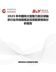 2025年中国特大型推力剖分球轴承行业市场规模及投资前景预测分析报告