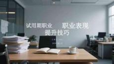試用期職業(yè)表現(xiàn)提升技巧