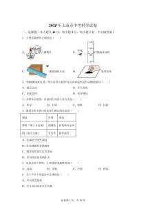 上海市2025年中考科學試卷試題真題及答案詳解（精校打印版）