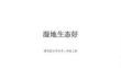 贛美版（2024）小學美術三年級上冊《濕地生態好》教學課件