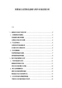 潤(rùn)滑油行業(yè)國(guó)際化戰(zhàn)略與海外市場(chǎng)拓展分析