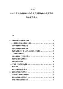 2025-2030全智能船舶行業市場分析及發展趨勢與投資管理策略研究報告