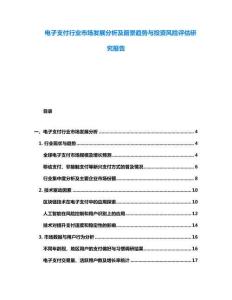 電子支付行業(yè)市場(chǎng)發(fā)展分析及前景趨勢(shì)與投資風(fēng)險(xiǎn)評(píng)估研究報(bào)告