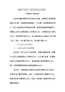 2025年輕工業經濟運行報告