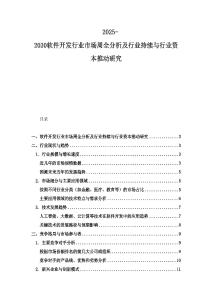 2025-2030軟件開發行業市場周全分析及行業持續與行業資本推動研究