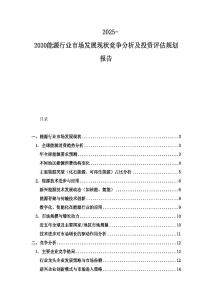 2025-2030能源行業市場發展現狀競爭分析及投資評估規劃報告