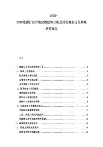 2025-2030能源行業市場發展趨勢分析及投資規劃優化策略研究報告