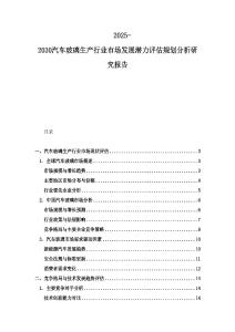 2025-2030汽車玻璃生產(chǎn)行業(yè)市場(chǎng)發(fā)展?jié)摿υu(píng)估規(guī)劃分析研究報(bào)告