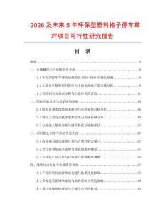 2026及未來5年環保型塑料格子停車草坪項目可行性研究報告