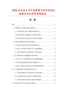 2026及未來5年中國彈簧卡具市場現狀數據分析及前景預測報告