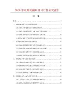 2026年吡咯列酮項目可行性研究報告