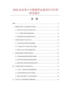 2026及未來5年碟剎管總成項(xiàng)目可行性研究報(bào)告