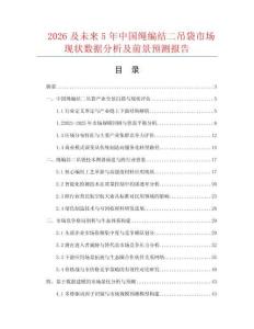 2026及未來5年中國繩編結(jié)二吊袋市場現(xiàn)狀數(shù)據(jù)分析及前景預(yù)測報告