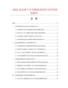 2026及未來5年雪刷冰刮項目可行性研究報告