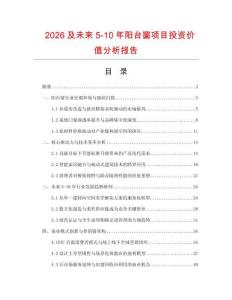 2026及未來5-10年陽臺窗項目投資價值分析報告