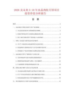 2026及未来5-10年水晶肉松月饼项目投资价值分析报告