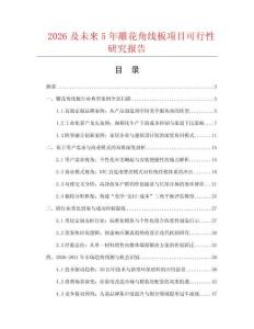 2026及未來5年雕花角線板項目可行性研究報告