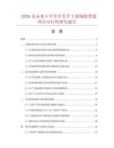 2026及未來5年全羊毛手工剪絨膠背毯項目可行性研究報告
