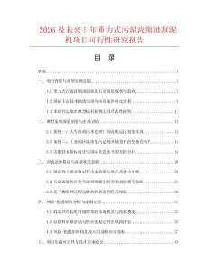 2026及未来5年重力式污泥浓缩池刮泥机项目可行性研究报告