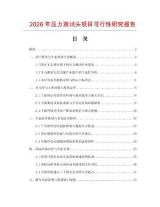 2026年压力测试头项目可行性研究报告