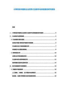 計算機軟件服務企業競爭力及數字化轉型路徑研究報告