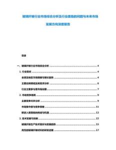 玻璃纖維行業市場綜合分析及行業面臨的問題與未來市場發展方向深度報告