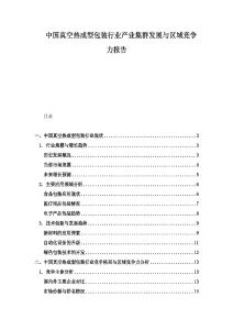 中國真空熱成型包裝行業產業集群發展與區域競爭力報告