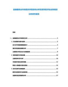 金融服務業市場現狀供需結構分析投資風險評估業務規劃分析研究報告