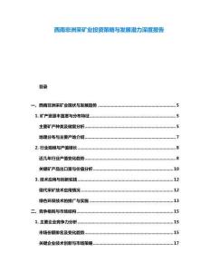 西南非洲采礦業(yè)投資策略與發(fā)展?jié)摿ι疃葓?bào)告
