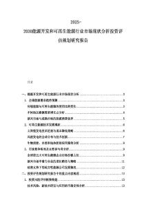 2025-2030能源開發和可再生能源行業市場現狀分析投資評估規劃研究報告