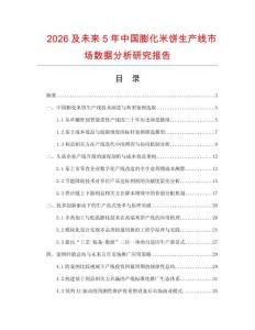 2026及未來5年中國膨化米餅生產線市場數據分析研究報告
