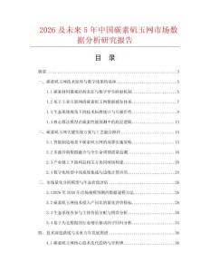 2026及未来5年中国碳素矶玉网市场数据分析研究报告